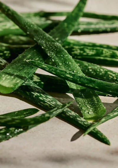 Aloe Calming Toner